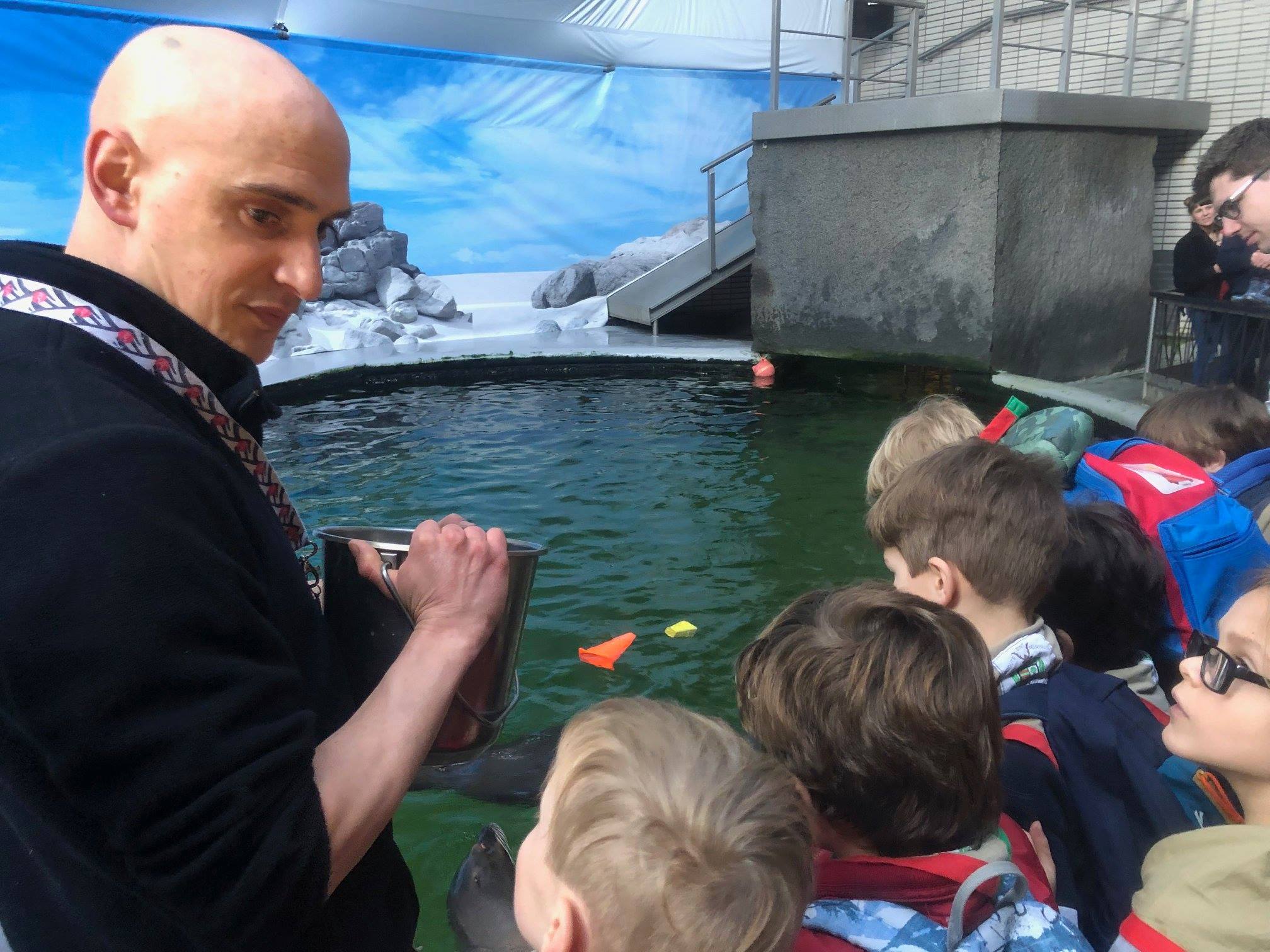 Sint-Martinus den XIIde - Zoo Antwerpen Kapoenen
